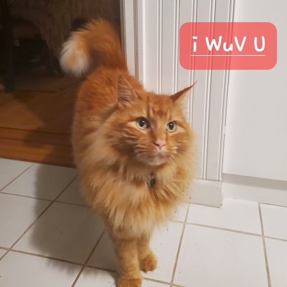 Meet your Posher, Aprylle - Picture 2 of 2